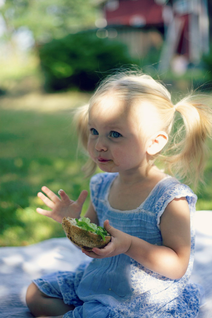 piknik3