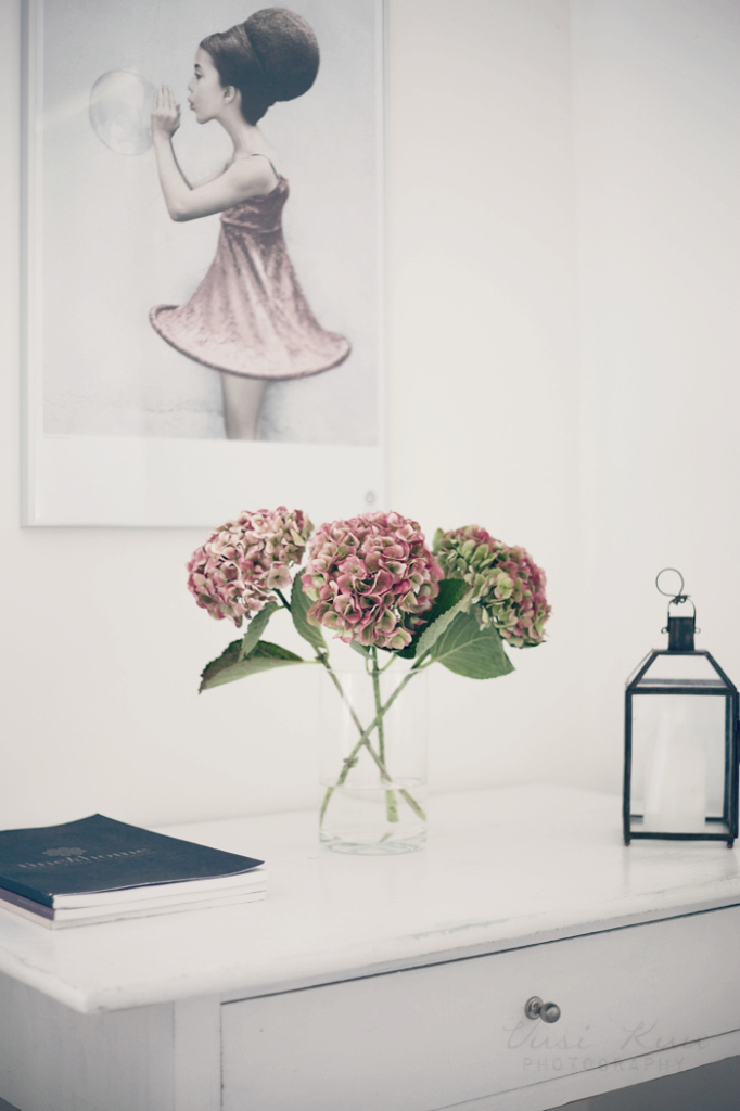 hortensia vee speers