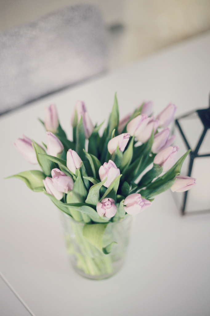 tulppaanit1